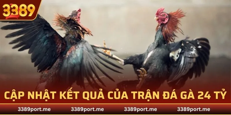 Cập nhật kết quả trận đá gà 24 tỷ tới bạn đọc