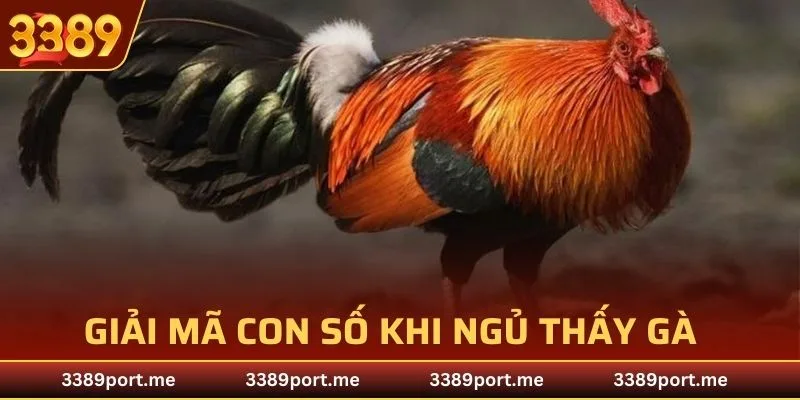 Giải mã con số khi ngủ thấy gà hiệu quả