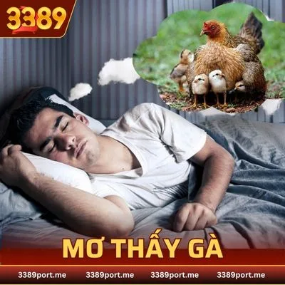 Mơ thấy gà 3389