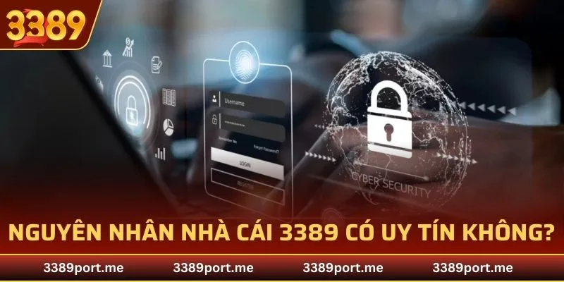 Nguyên nhân nhà cái 3389 có uy tín không?